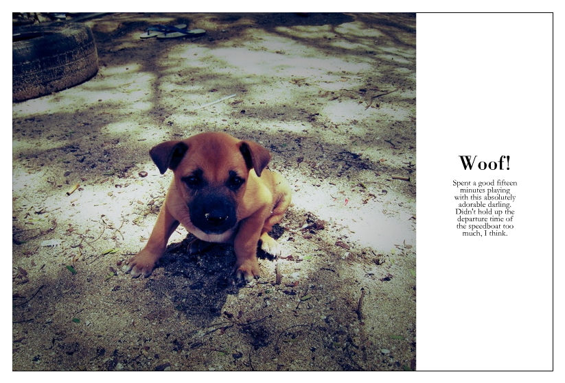 heartpatrick phuket thailand