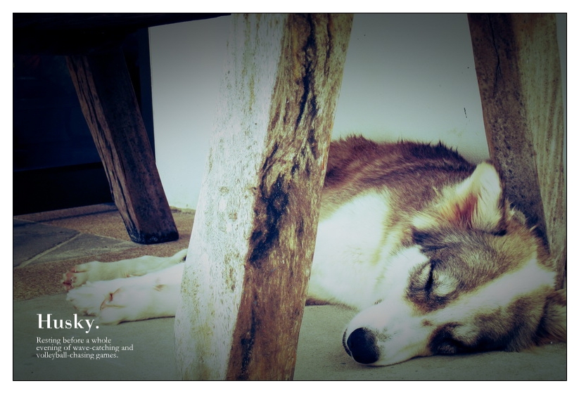 heartpatrick phuket thailand