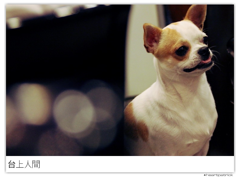 heartpatrick taiwan taipei street