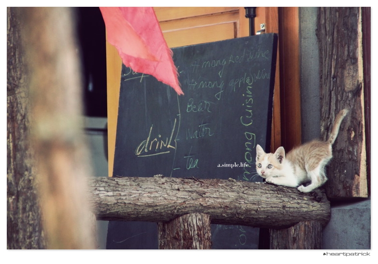 heartpatrick vietnam sapa