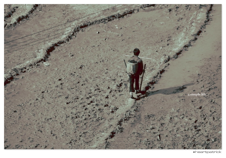 heartpatrick vietnam sapa