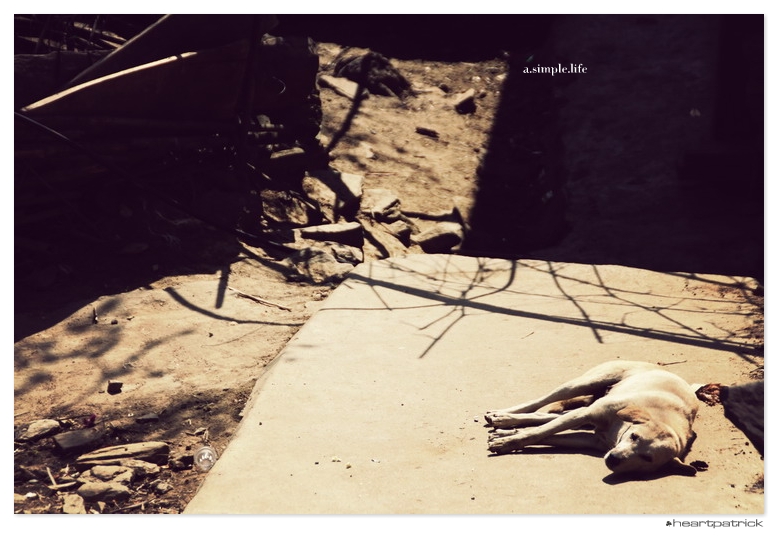 heartpatrick vietnam sapa