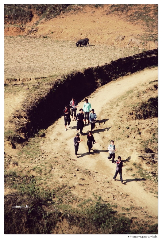 heartpatrick vietnam sapa