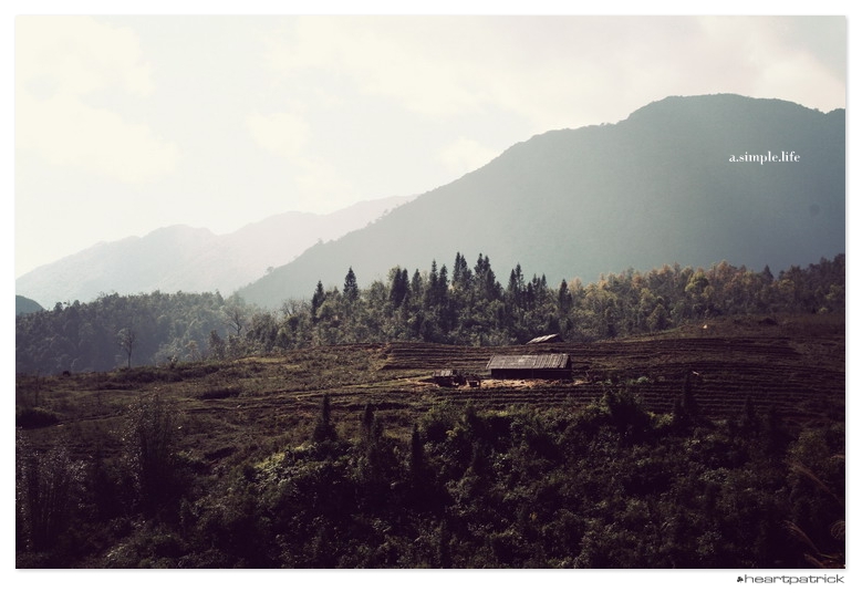 heartpatrick vietnam sapa