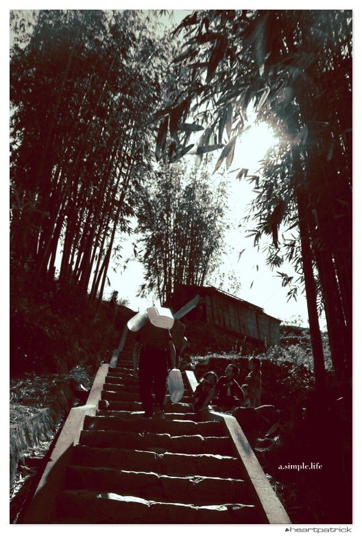 heartpatrick vietnam sapa