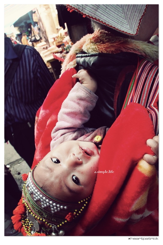 heartpatrick vietnam sapa