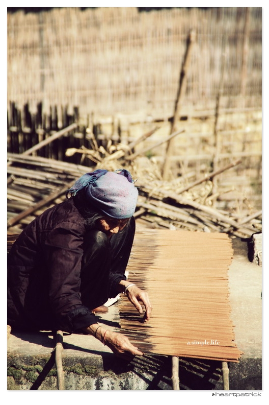 heartpatrick vietnam sapa