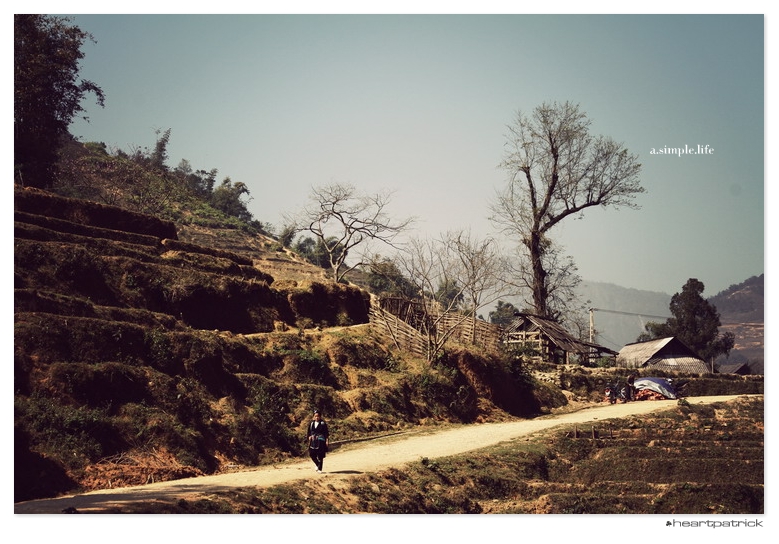 heartpatrick vietnam sapa