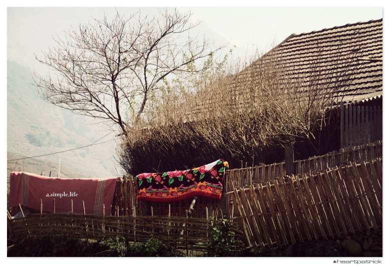 heartpatrick vietnam sapa