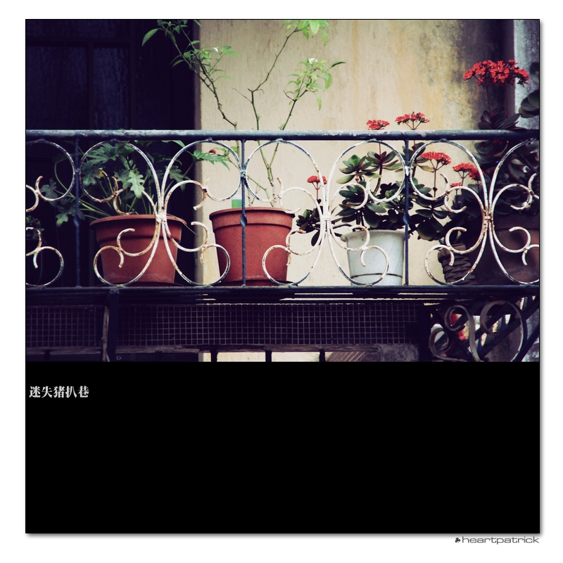 heartpatrick macau street photography