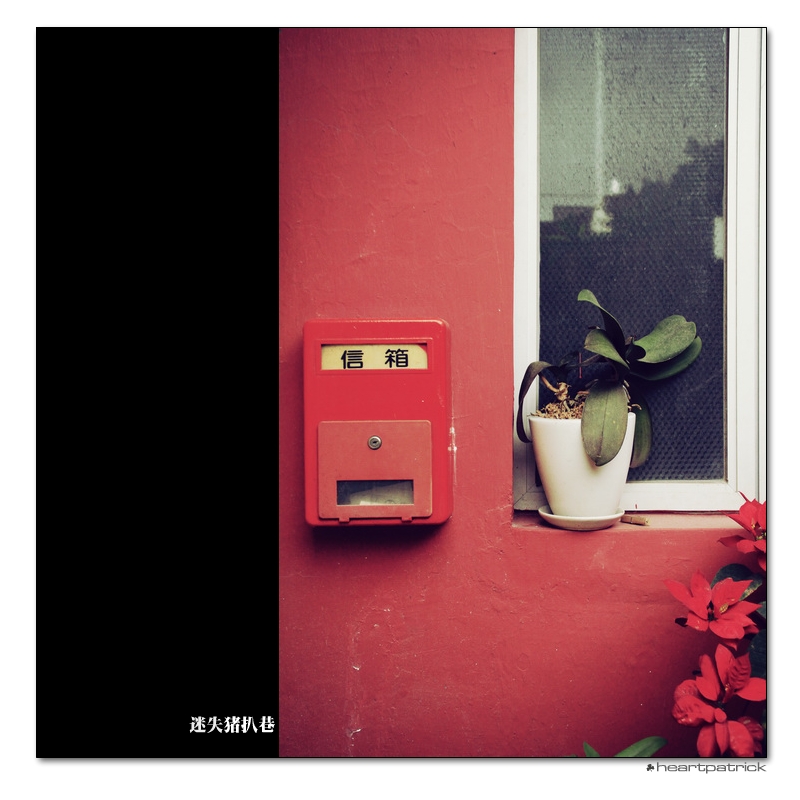 heartpatrick macau street photography