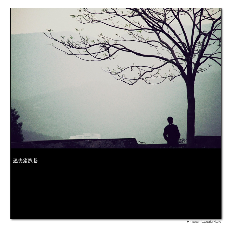 heartpatrick macau street photography