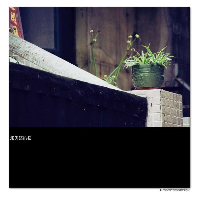 heartpatrick macau street photography