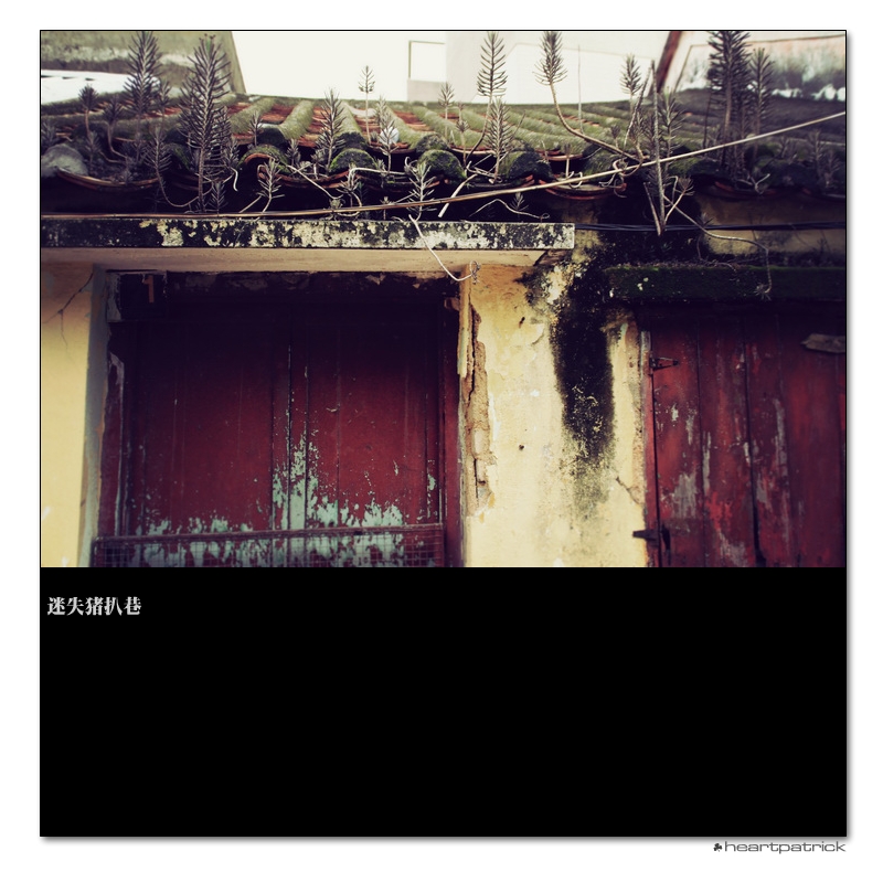 heartpatrick macau street photography