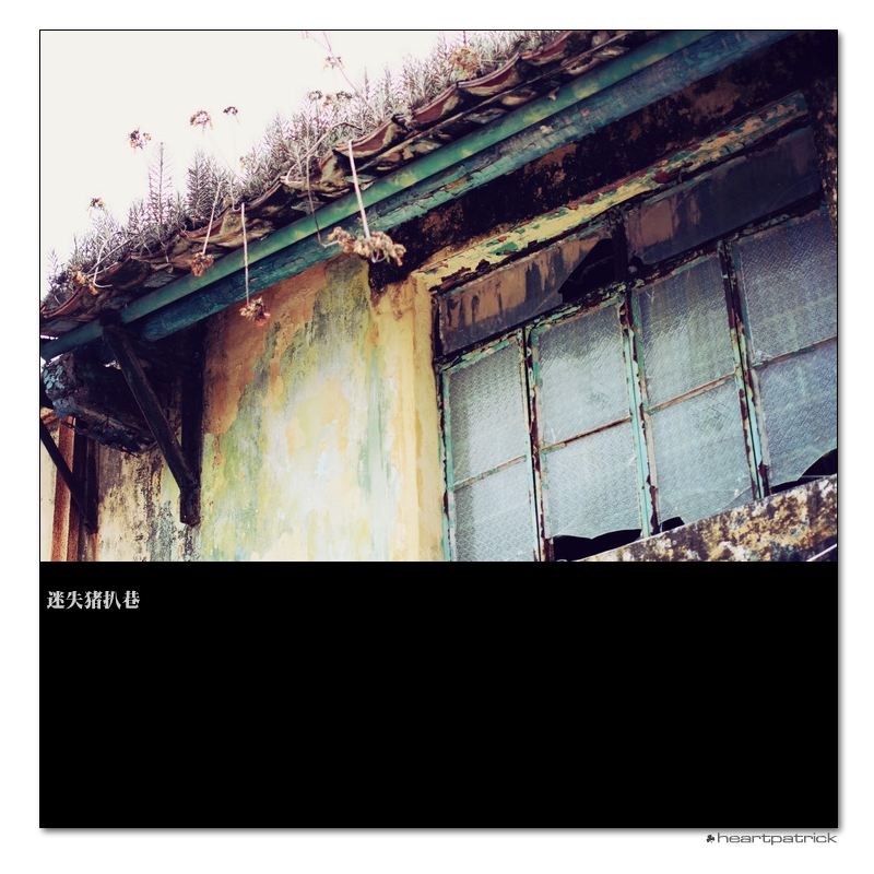 heartpatrick macau street photography