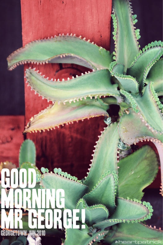 georgetown penang urban heritage