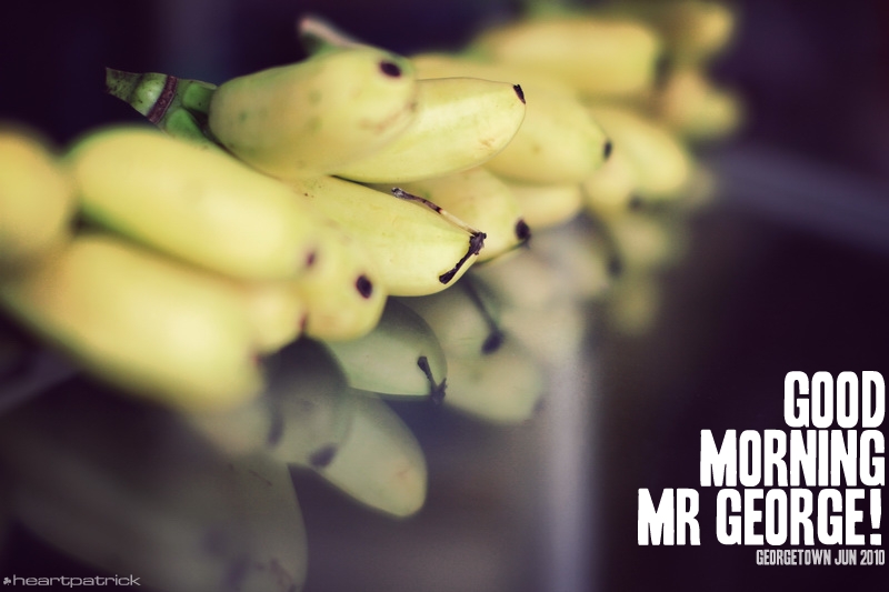 georgetown penang urban heritage