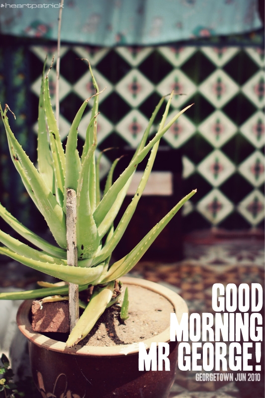 georgetown penang urban heritage