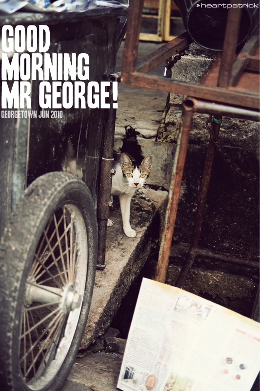 georgetown penang urban heritage