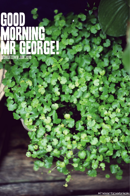 georgetown penang urban heritage