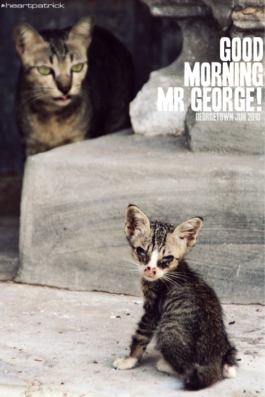 georgetown penang urban heritage