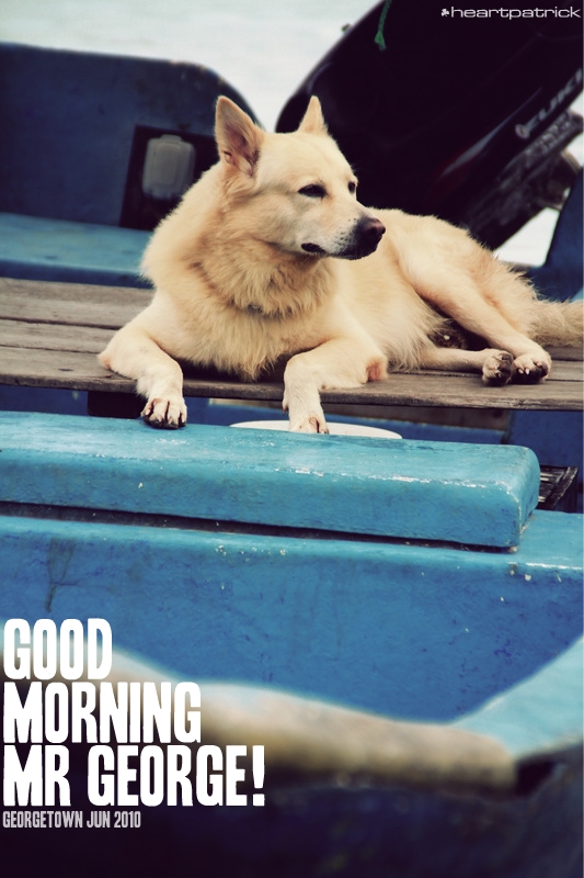 georgetown penang urban heritage