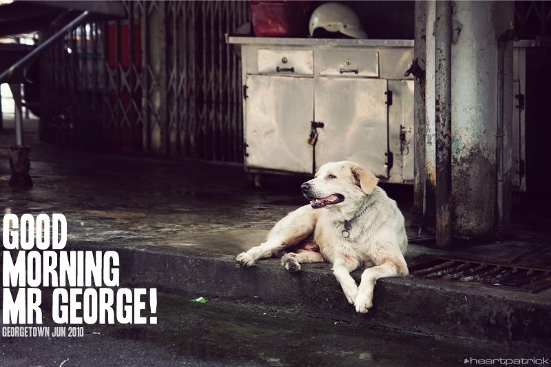 georgetown penang urban heritage