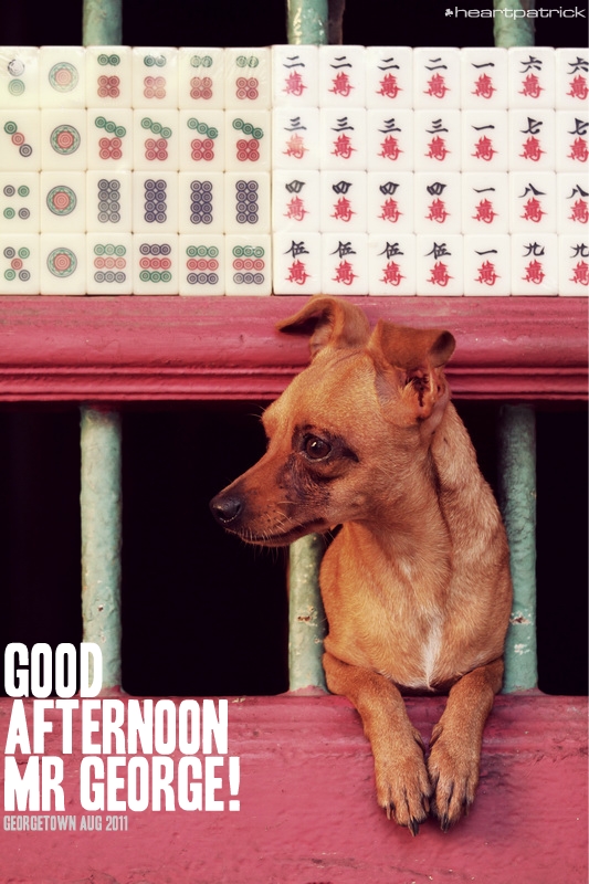 georgetown penang urban heritage