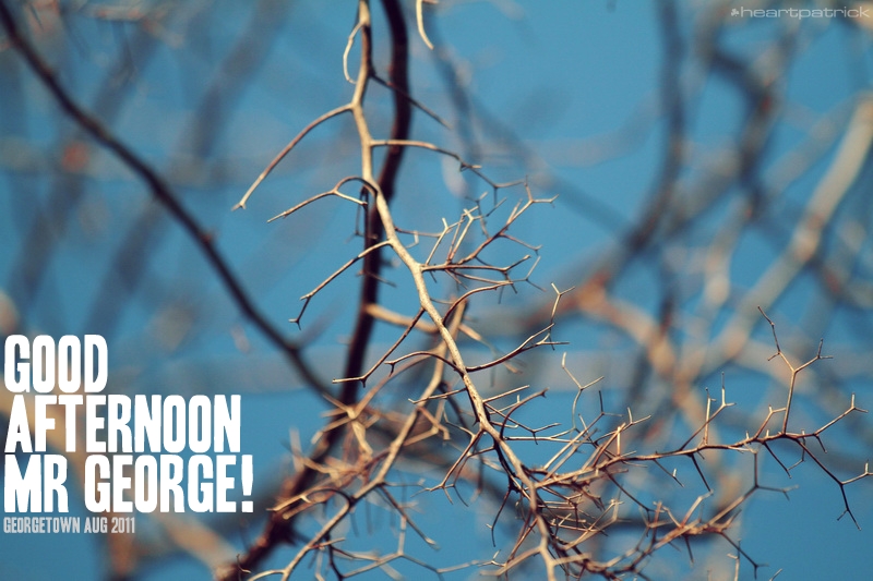 georgetown penang urban heritage