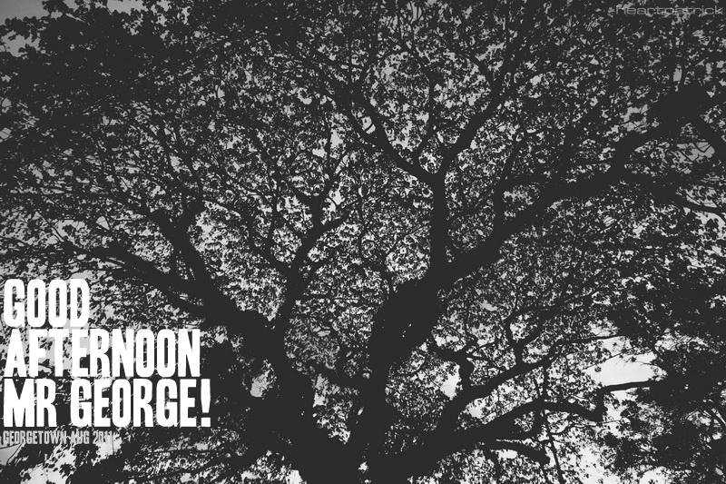 georgetown penang urban heritage