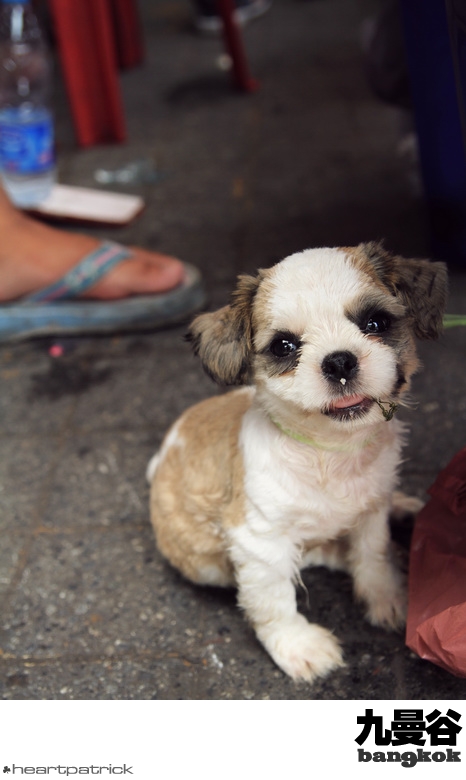 heartpatrick bangkok thailand street photography