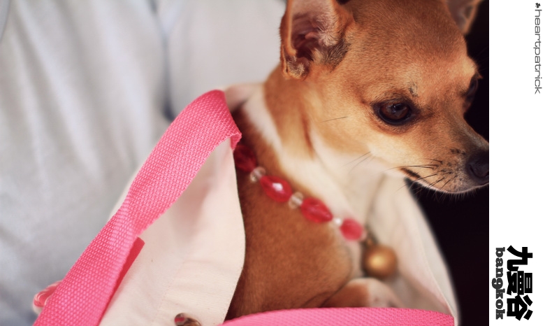 heartpatrick bangkok thailand street photography