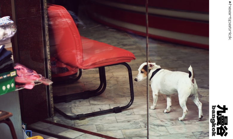 heartpatrick bangkok thailand street photography