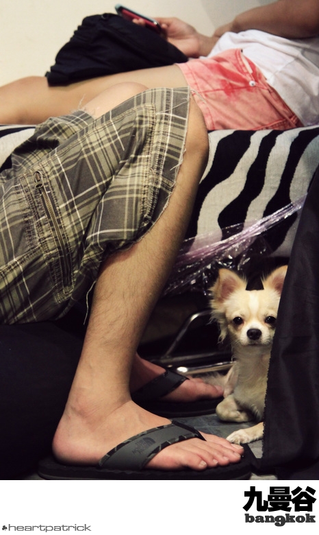 heartpatrick bangkok thailand street photography