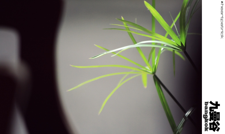 heartpatrick bangkok thailand street photography