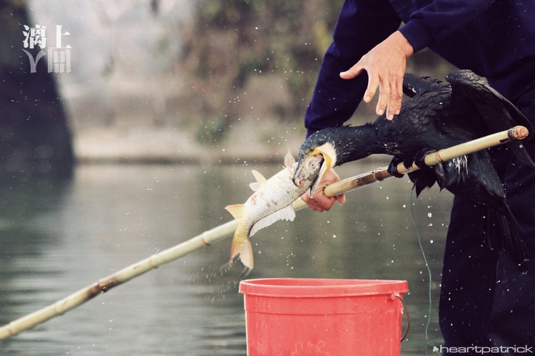 heartpatrick guilin china street photojournalism