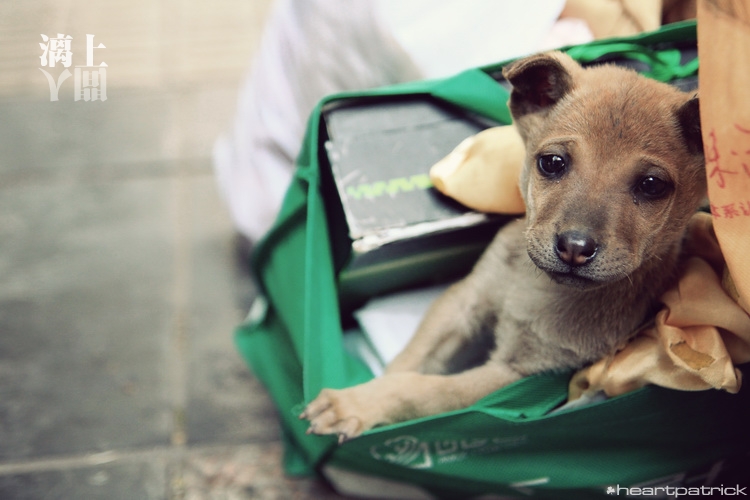 heartpatrick guilin china street photojournalism