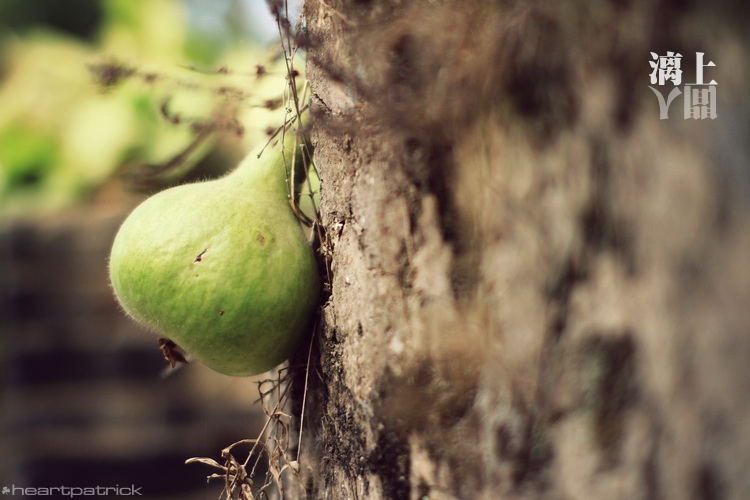heartpatrick guilin china street photojournalism