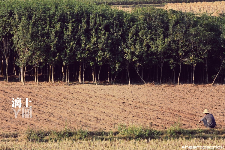 heartpatrick guilin china street photojournalism
