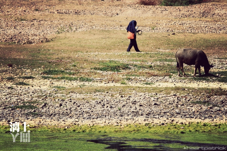 heartpatrick guilin china street photojournalism