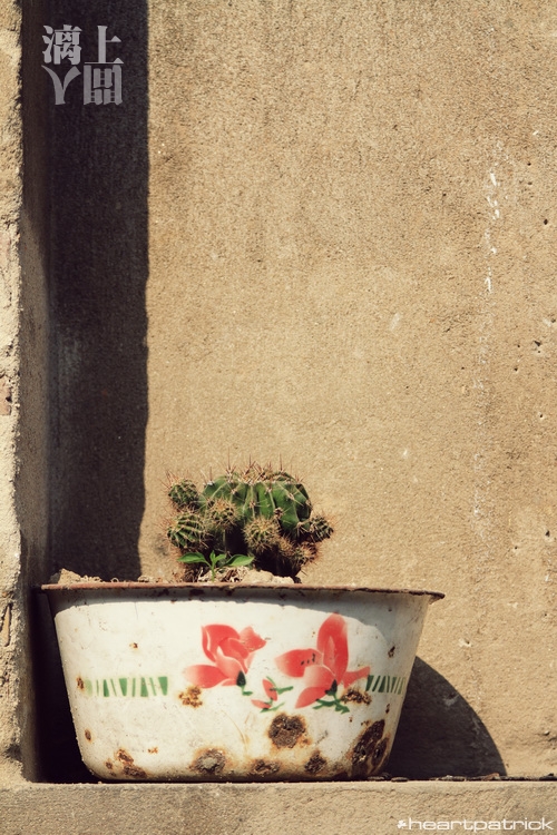 heartpatrick guilin china street photojournalism