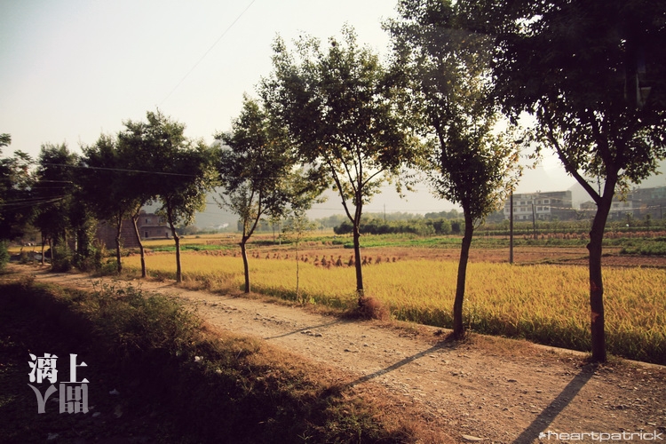 heartpatrick guilin china street photojournalism