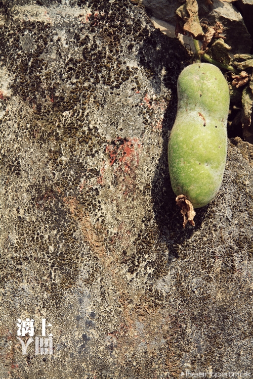 heartpatrick guilin china street photojournalism