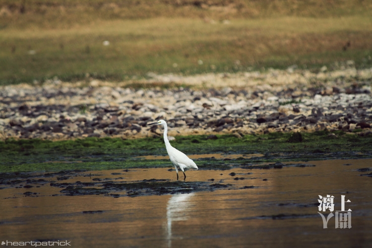 heartpatrick guilin china street photojournalism
