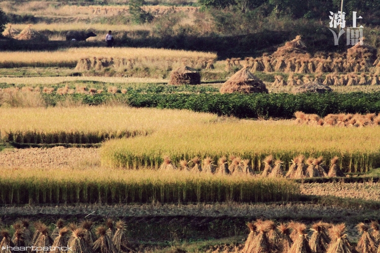 heartpatrick guilin china street photojournalism