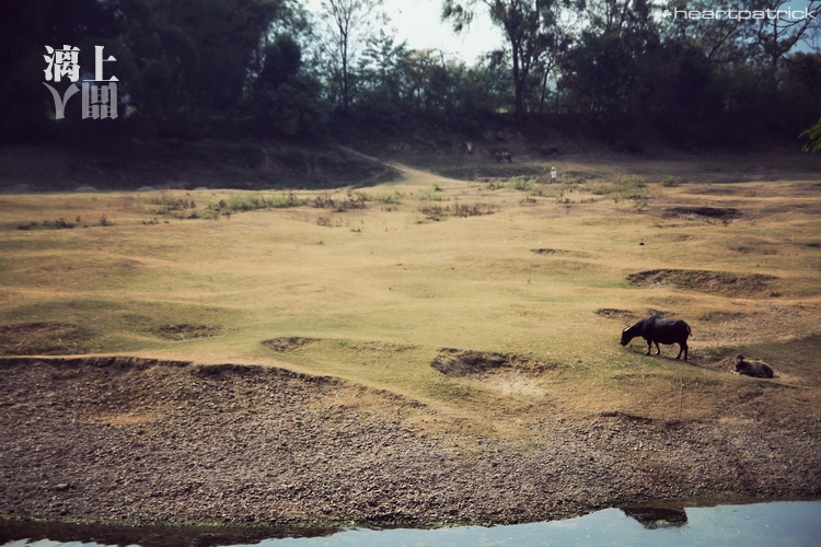 heartpatrick guilin china street photojournalism
