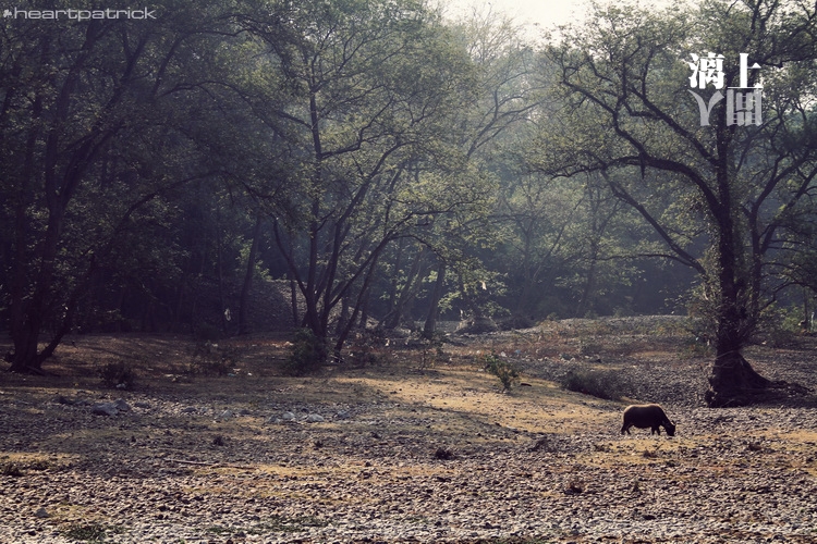 heartpatrick guilin china street photojournalism