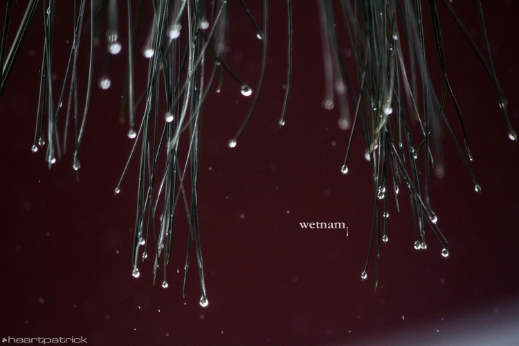 heartpatrick central vietnam hue hoi an myson danang