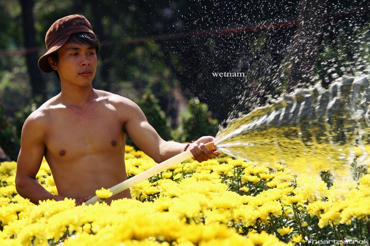 heartpatrick central vietnam hue hoi an myson danang