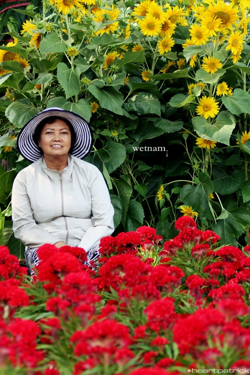 heartpatrick central vietnam hue hoi an myson danang